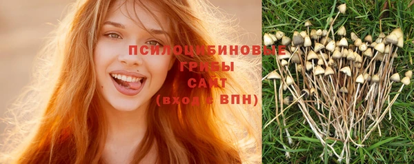 не бодяженный Краснослободск