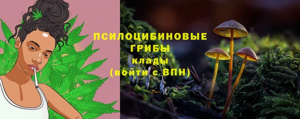 не бодяженный Краснослободск