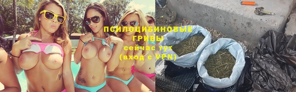 гидропоника Сясьстрой