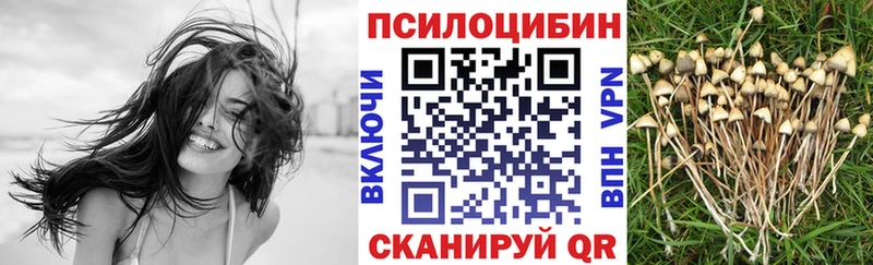 Псилоцибиновые грибы GOLDEN TEACHER  Купить где  Красноармейск 