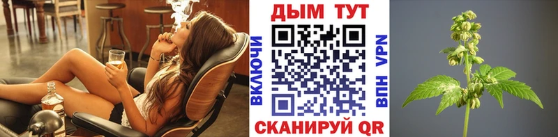 Бошки Шишки конопля  Купить закладки  Красноармейск 